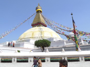 Nepal Trekking with Jungle Safari Tour