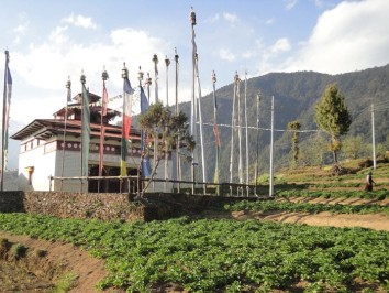Langtang Helambu Trek