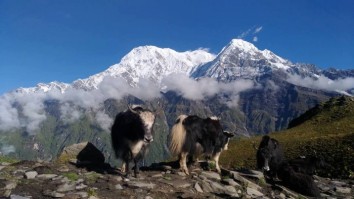 Mardi Himal Base Camp Trek