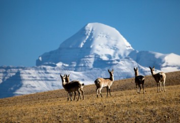 Simikot Kailash Lhasa Tour