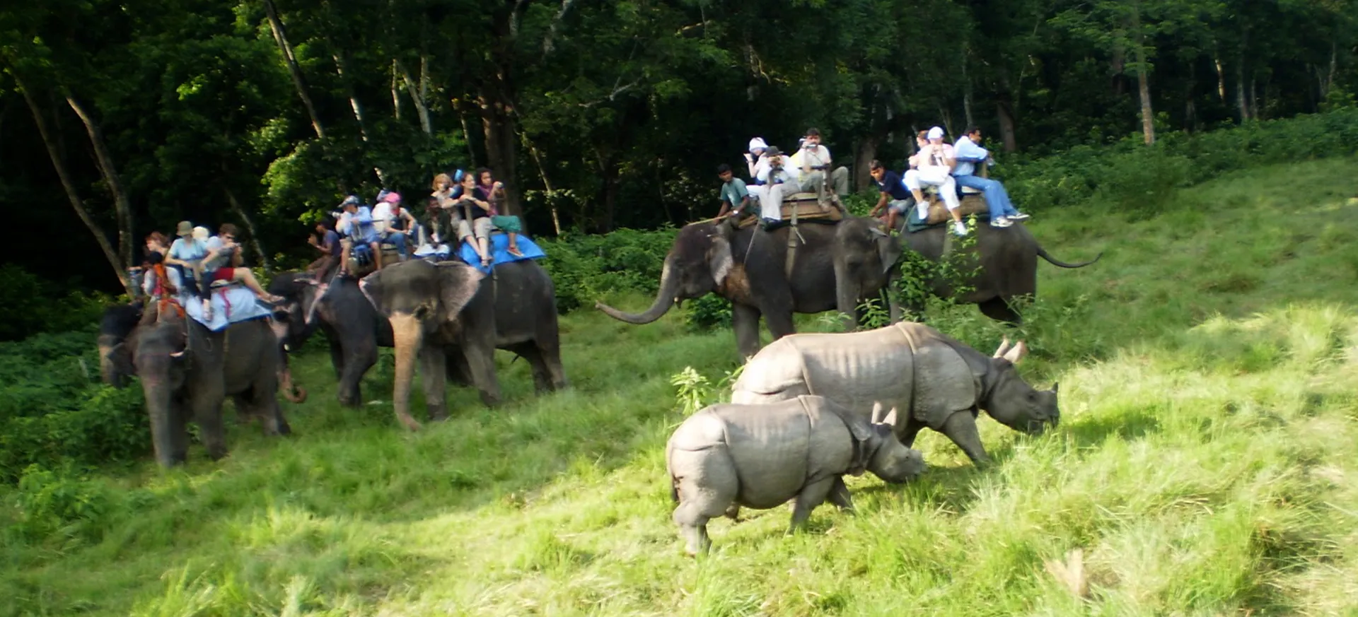 2 Night 3 days Chitwan Jungle Safari tour Program
