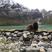 Jens-Kristian Nielsen