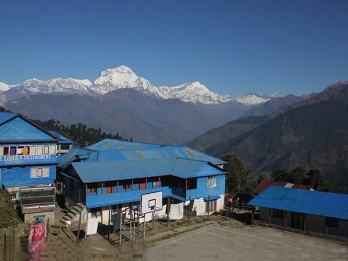 Book Ghorepani Ghandruk Loop Trek