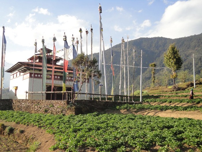 Langtang Helambu Trek