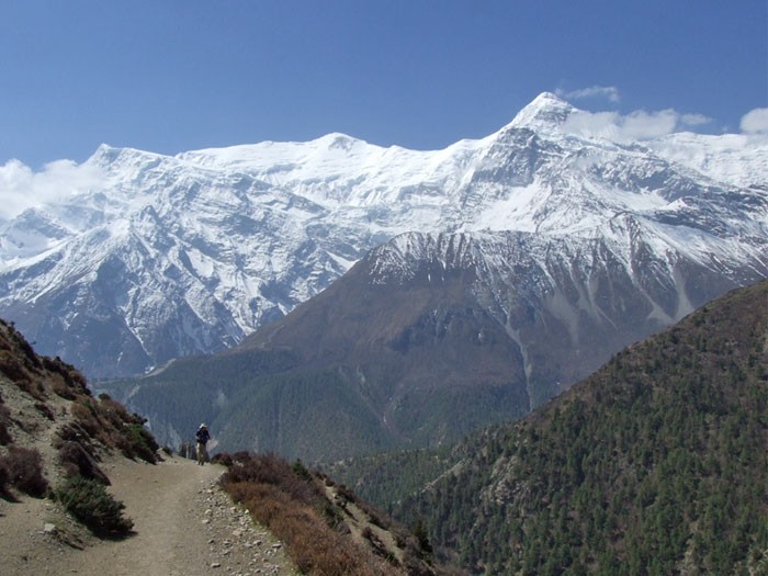 Book Annapurna Skyline Trek(Royal Trek)